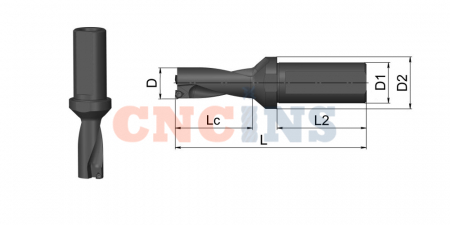 WC20-03D-C25_3